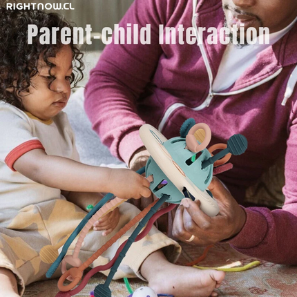 Juguete Montessori Sensorial para el Desarrollo del Bebé