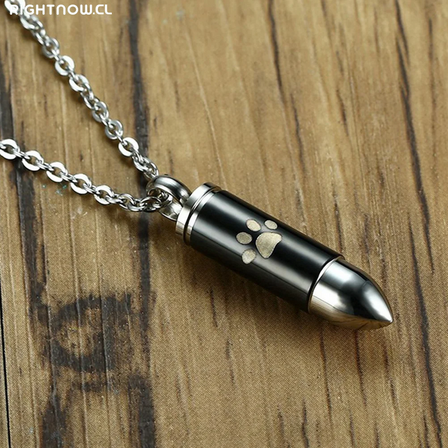 Paw Print Memorial Necklace Ashes Keepsake Titanium Steel Pet Urn Pendant Dog Ashes Cremation Jewelry for Men Pet Urns