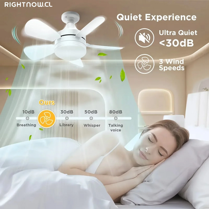16 Inch 2-In-1 Ceiling Fan with Light Remote Control Fan Lights Dimmable E27 Socket Bedroom Living Room Kitchen Office Bathroom