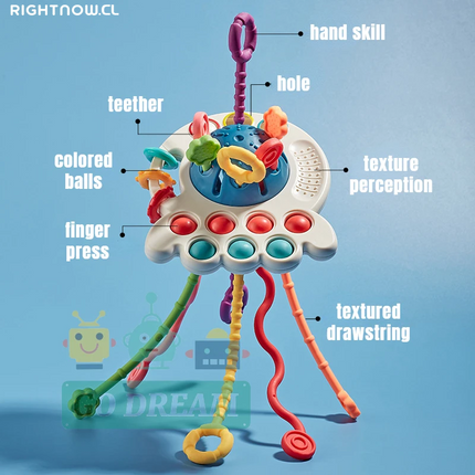 Juguete Montessori Sensorial para el Desarrollo del Bebé