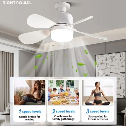 16 Inch 2-In-1 Ceiling Fan with Light Remote Control Fan Lights Dimmable E27 Socket Bedroom Living Room Kitchen Office Bathroom