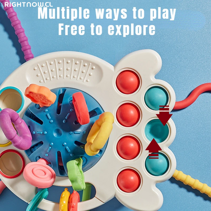 Juguete Montessori Sensorial para el Desarrollo del Bebé
